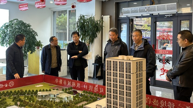 置業(yè)公司專職外部董事調(diào)研開發(fā)項目